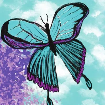 Butterfly from Sometimes I Feel Calm